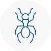 Ant Removals In Pembrokeshire