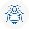 Bed Bug Extermination In Pembrokeshire