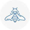Bee Nest Removal Pembrokeshire