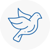 Bird Prevention Pembrokeshire