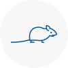 Mice Exterminators In Pembrokeshire