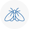 Moth Control Specialists In Pembrokeshire