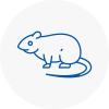 Rat Control Pembrokeshire