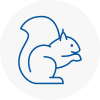 Pembrokeshire Rodent Removals